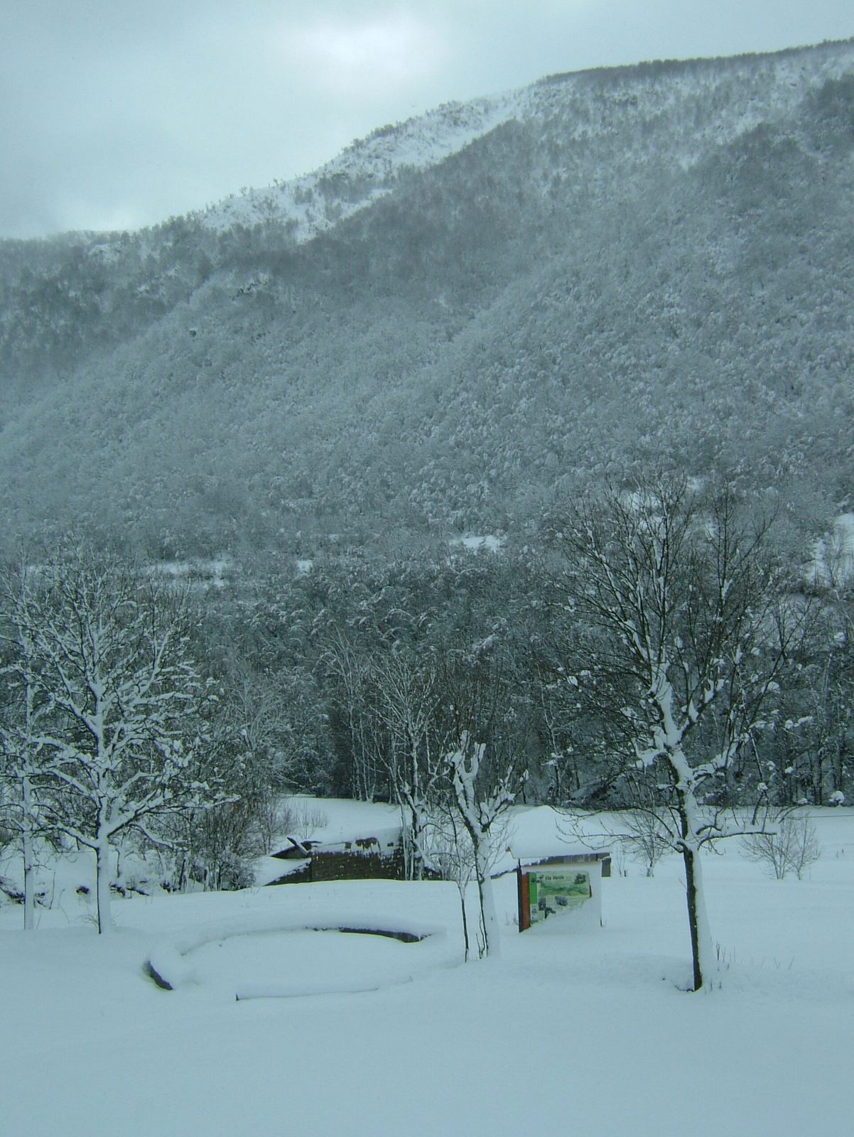 Valle y casas bajo una gran nevada