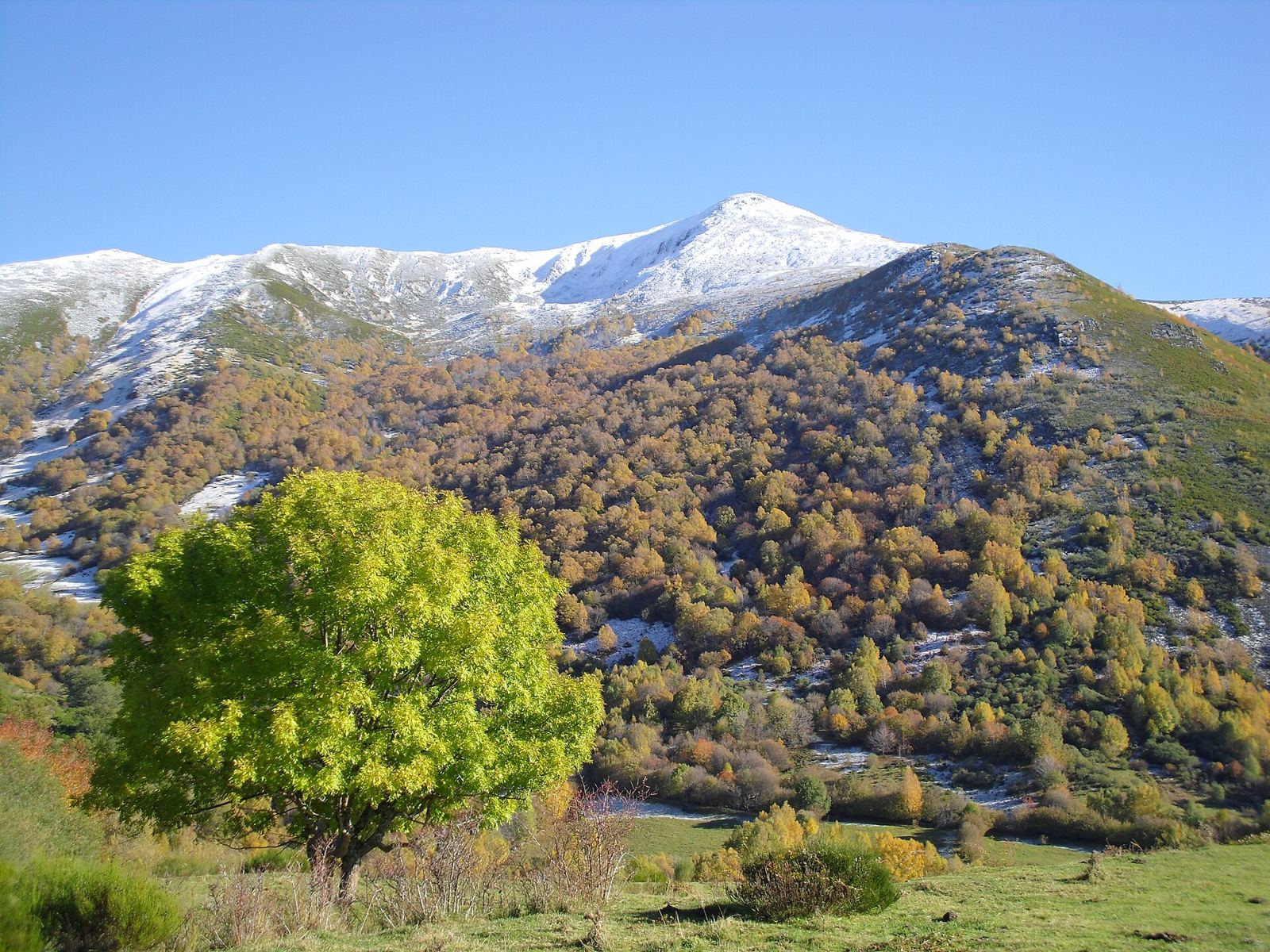 Monte Tambarón en otoño con la primera nieve